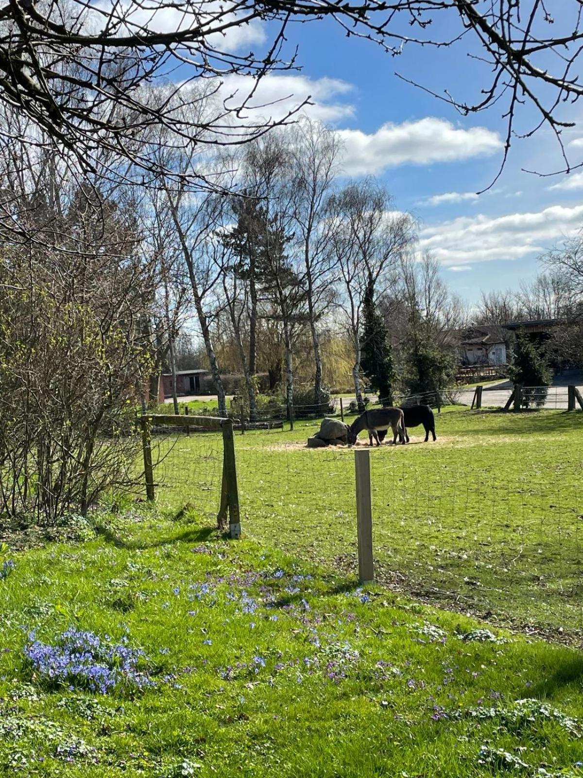 Apartamento Beltblick Fehmarn Exterior foto