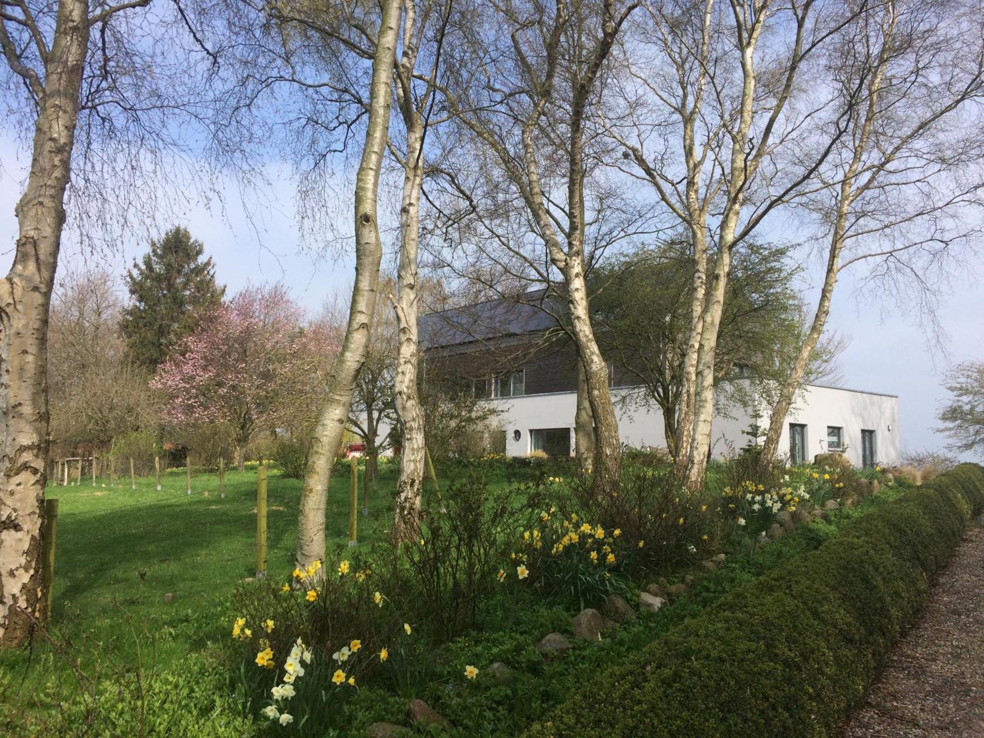 Apartamento Beltblick Fehmarn Exterior foto