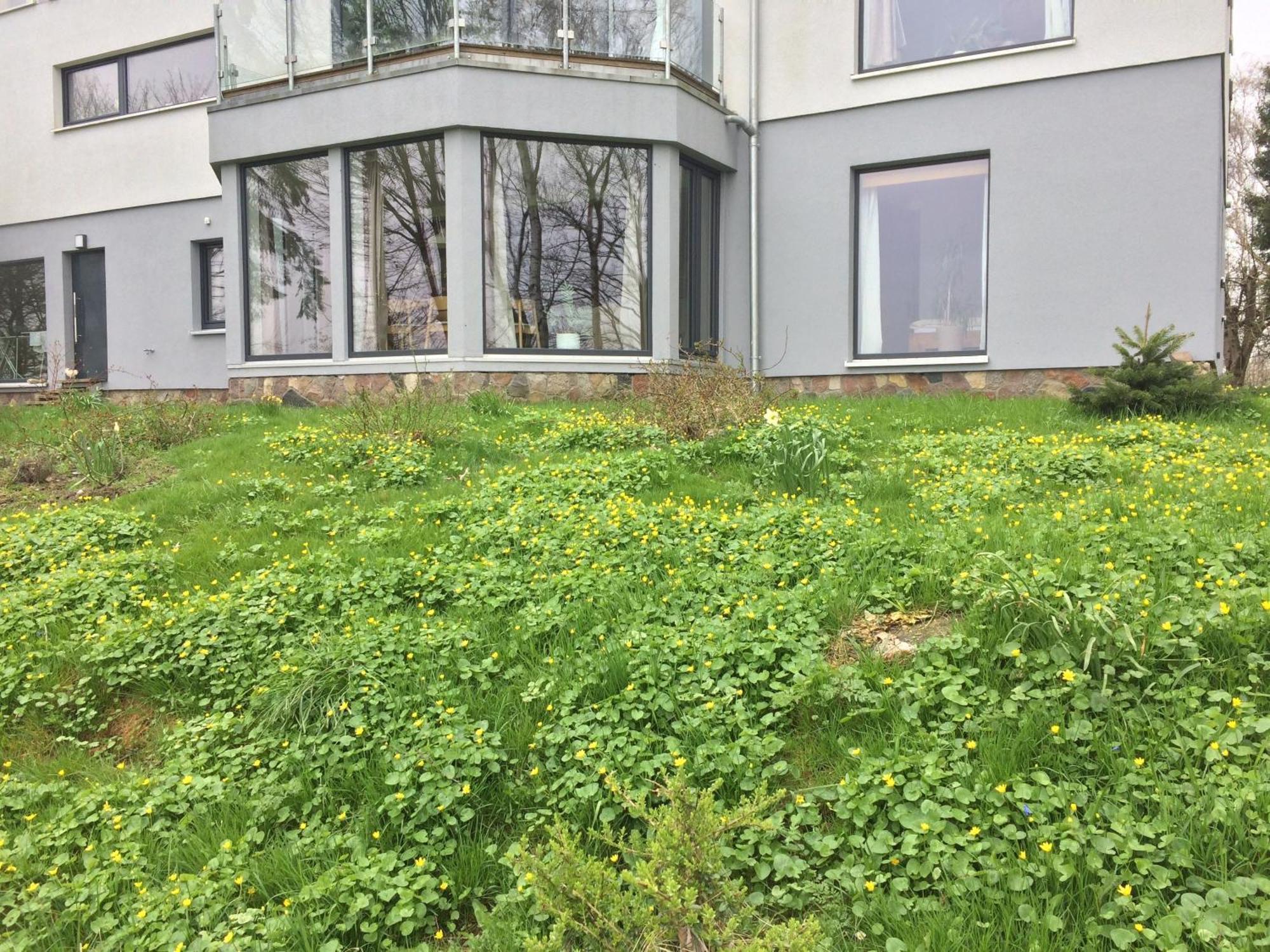 Apartamento Beltblick Fehmarn Exterior foto